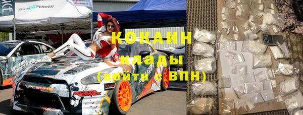 индика Баксан