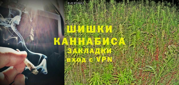 индика Баксан