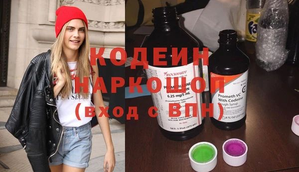 индика Баксан