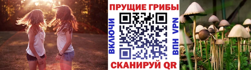 Псилоцибиновые грибы Psilocybe  цены наркотик  Лобня 